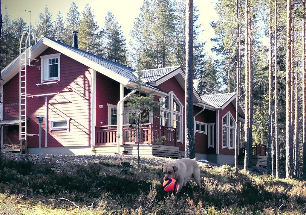 Otsopirtti: Maria And Otso Apartments Kolinkylä Kamer foto